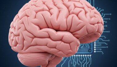 OIST Team Uses AI to Study Complex Magnetic Material Properties