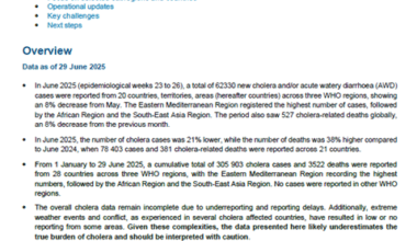 Multi-country outbreak of cholera, external situation report #28 -24 July 2025