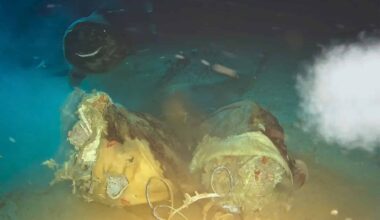 Cow Carcass 1,629 Meters Underwater