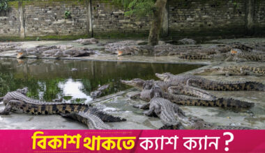 With skin in the export game, can Bhaluka’s crocodile farm live up to its potential?