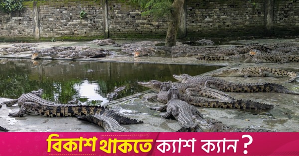 With skin in the export game, can Bhaluka’s crocodile farm live up to its potential?