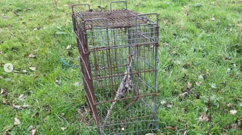 Black Mountain Rewilding Project A photo of one of the two fox traps found by Aaron Kelly on the Black Mountain. It is a rusty steel cage sitting on a lawned area.  