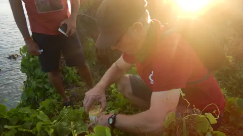 Durrell Dr Nik Cole bent down holding a jar of gecko eggs surrounded by greenery, another man and the sea in the background. The sunset is shining through behind Nik.
