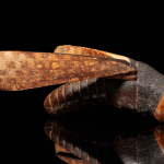 An intricately carved grasshopper made of ivory and wood being auctioned by Apollo Art Auctions has an estimate of £300,000 to £500,000. Experts believe it was stolen from King Tutankhamen’s tomb.