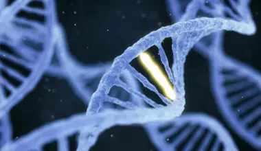 Scientists just discovered a secret code hidden in your DNA