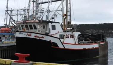 New Book Details Miraculous Rescue of Lucky Seven