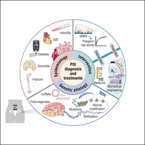 Epidemiology, Genetic Etiology, and Intervention of Premature Ovarian Insufficiency