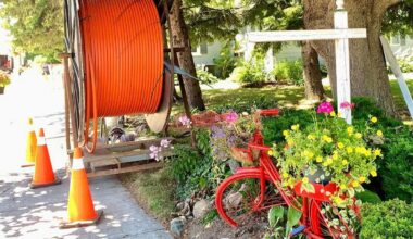 Natalie Hamilton, Local Journalism Initiative Reporter