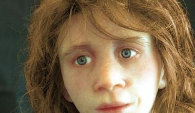 Brighter Side of News