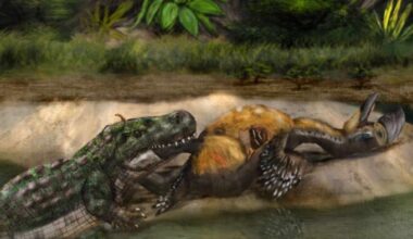 Prehistoric Apex Predators Faced Off In Deadly Encounters, Study Reveals