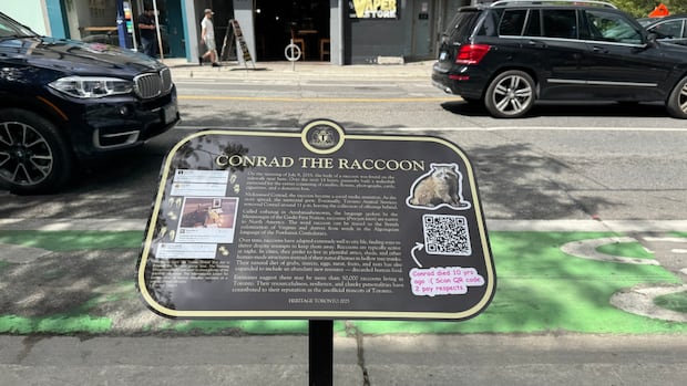 Toronto remembers raccoon whose sidewalk death went viral in 2015