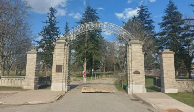 Cambridge ball diamond closed after snapping turtle nest discovered