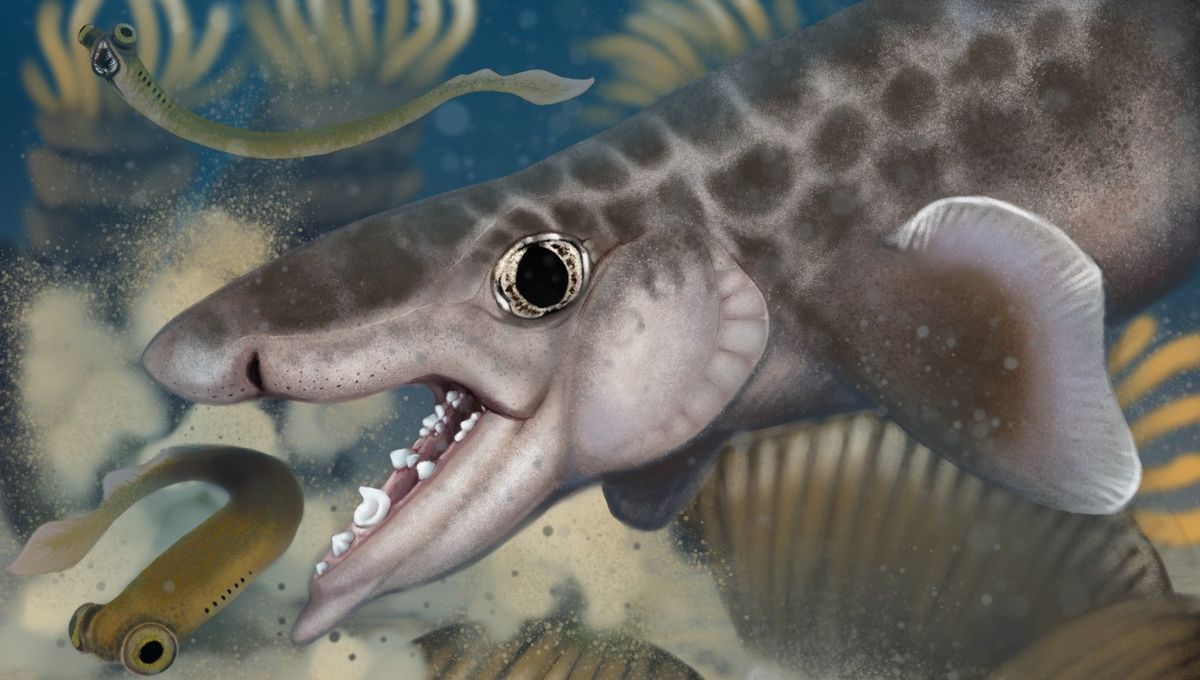 “Remarkable” New Species Of 340-Million-Year-Old Ancient Shark Discovered In Mammoth Cave National Park