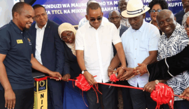 Tanzania Links National Broadband to Subsea Cables to Boost Regional Connectivity