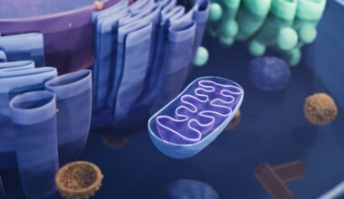 Mitochondrial disease prevented with donated genes : Shots