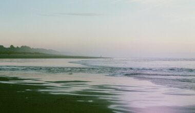 Vero Fiber to roll out FTTH services in Arcata, California