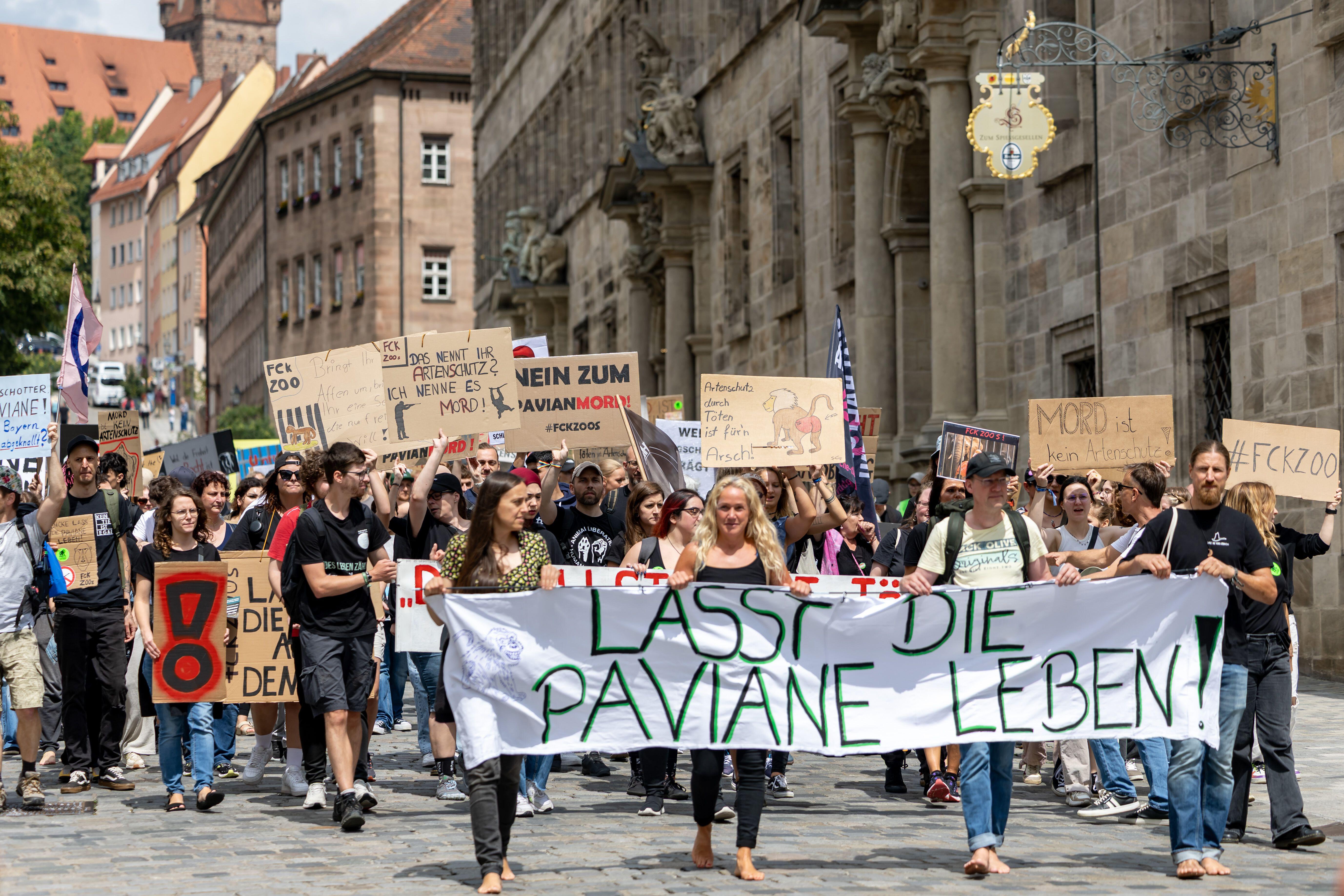 Protestors march against the planned killing of baboons at Nuremberg Zoo.