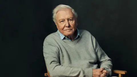 BBC Studios Sir David Attenborough sitting in a chair wearing a shirt and jumper