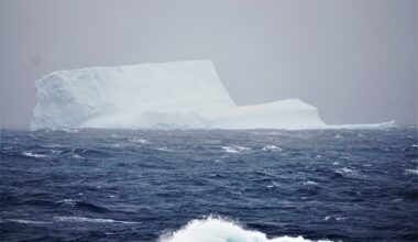 New study illuminates how diatoms thrive in—and light up—the Southern Ocean
