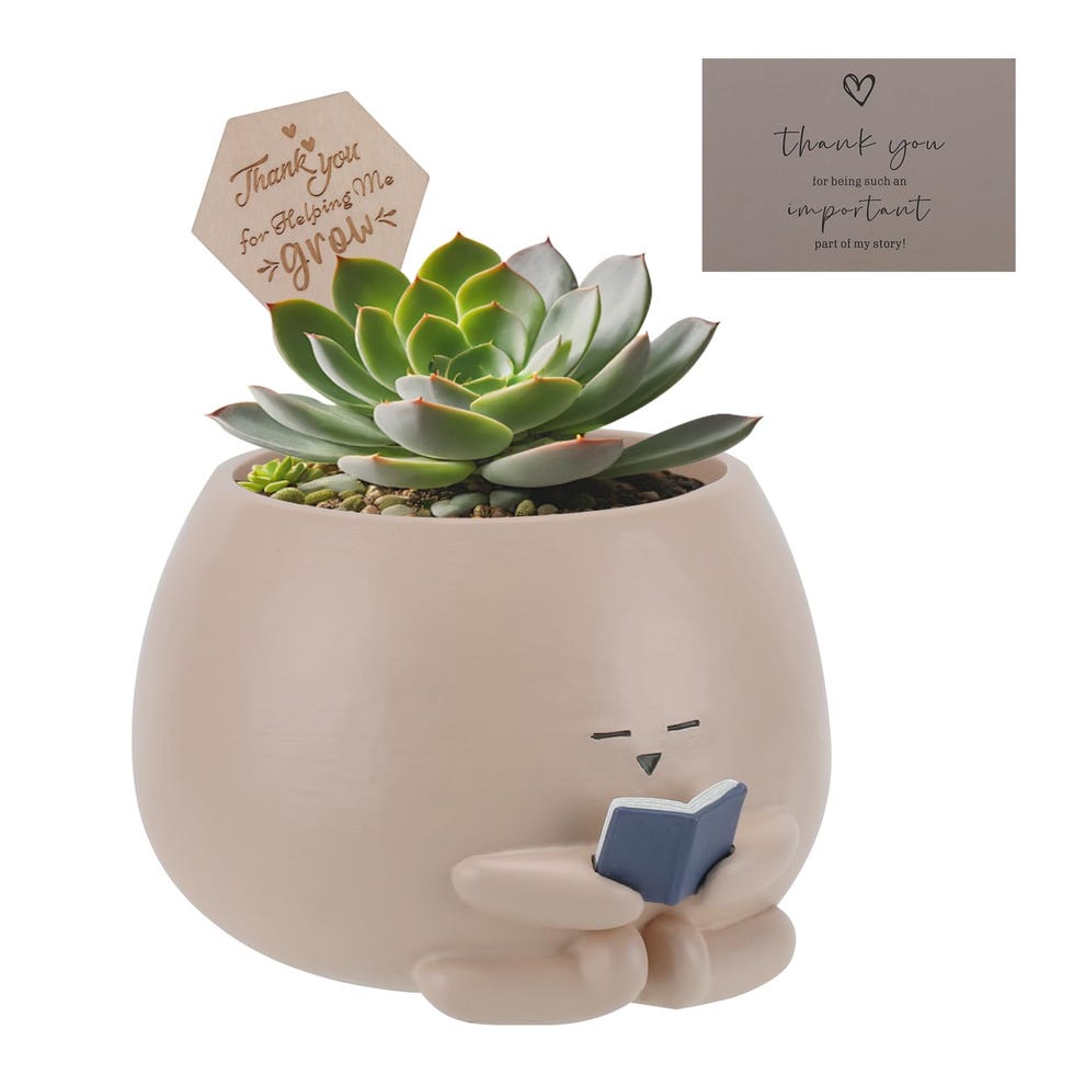 Bookworm Planter Pot