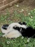 Woman Does A Double Take When She Sees 'Huddled Up' Pile Of Babies