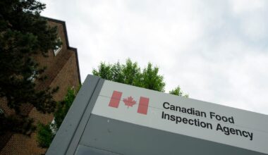 Salmonella outbreak Canada: pastries recalled