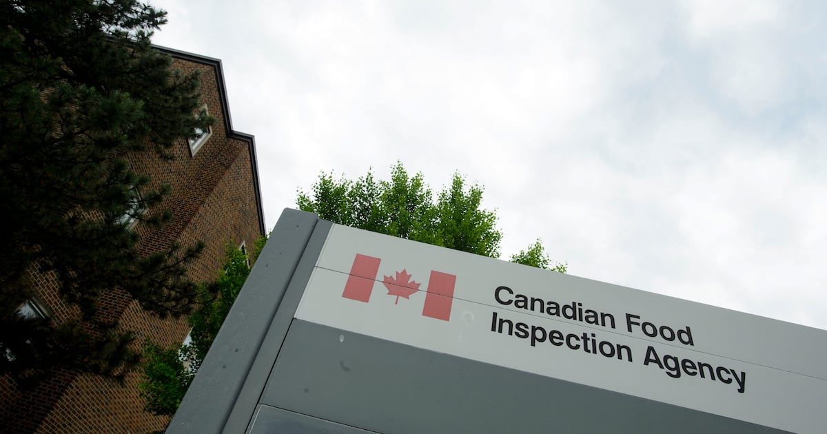 Salmonella outbreak Canada: pastries recalled