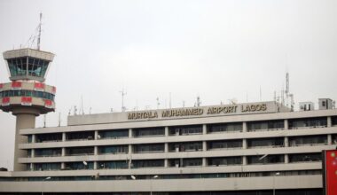 Nigeria seizes more than 1,600 exotic birds in one of the biggest wildlife trafficking busts in years