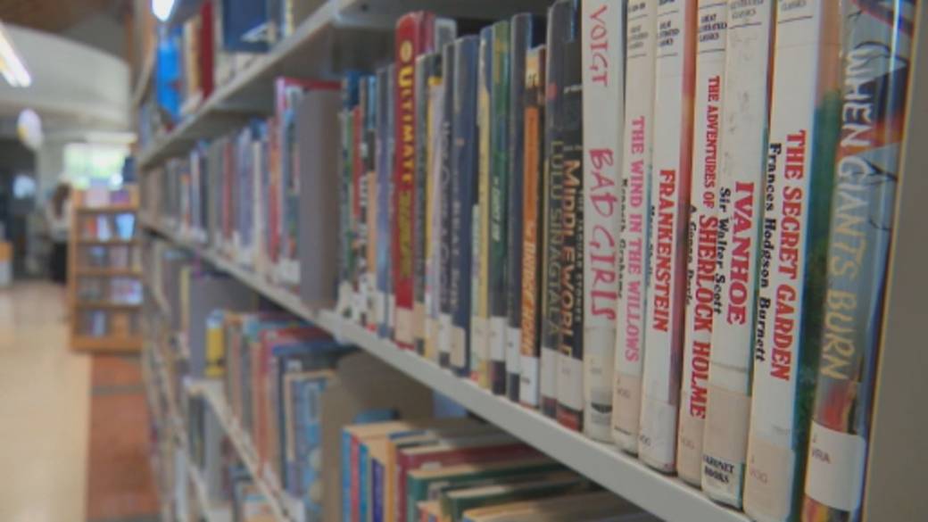 Click to play video: 'Alberta plans to censor some library books at K-12 schools'