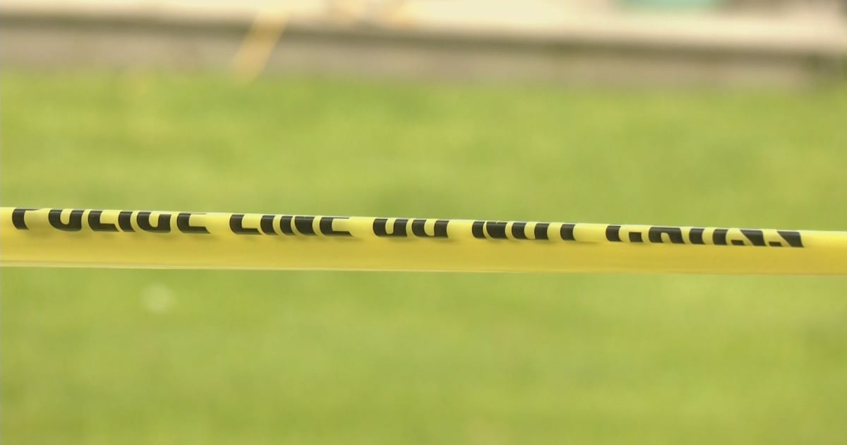 Lindsay man charged after allegedly assaulting intruder