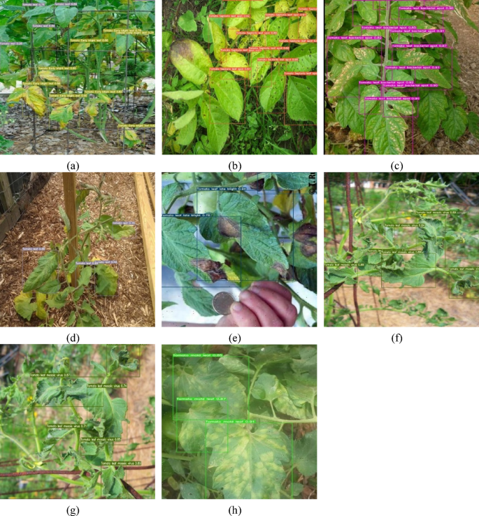 figure 17