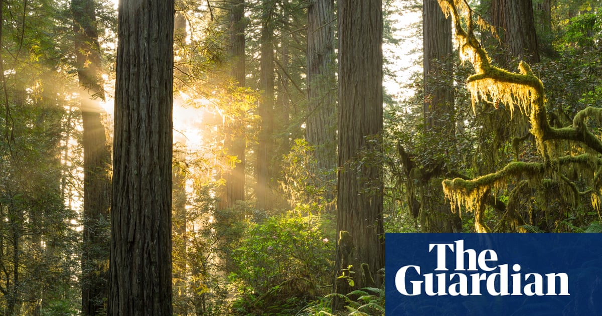 Look up: five hopeful novels about the climate crisis | Books