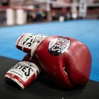 Deaths could spell end for Japanese boxing, says commission chief | News