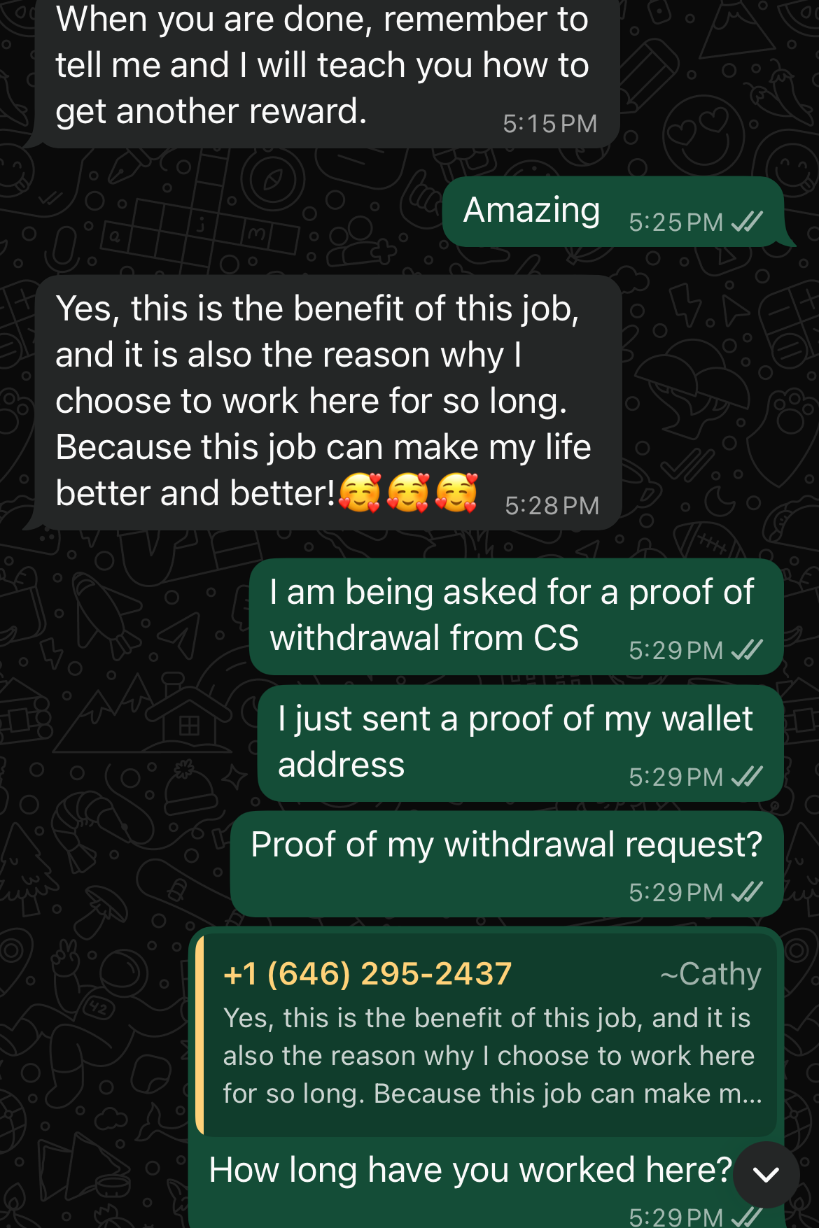 A WhatsApp conversation with the recruiter, in which she insists that the job "can make my life better and better." The author responds by asking about some specifics of withdrawing funds and asking how long she has worked there.