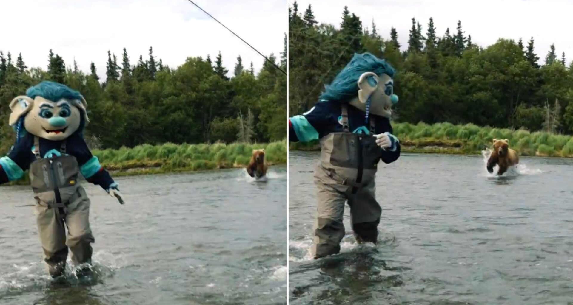 Seattle Kraken Mascot Buoy Survives Charging Real-Life Grizzly in Harrowing Video