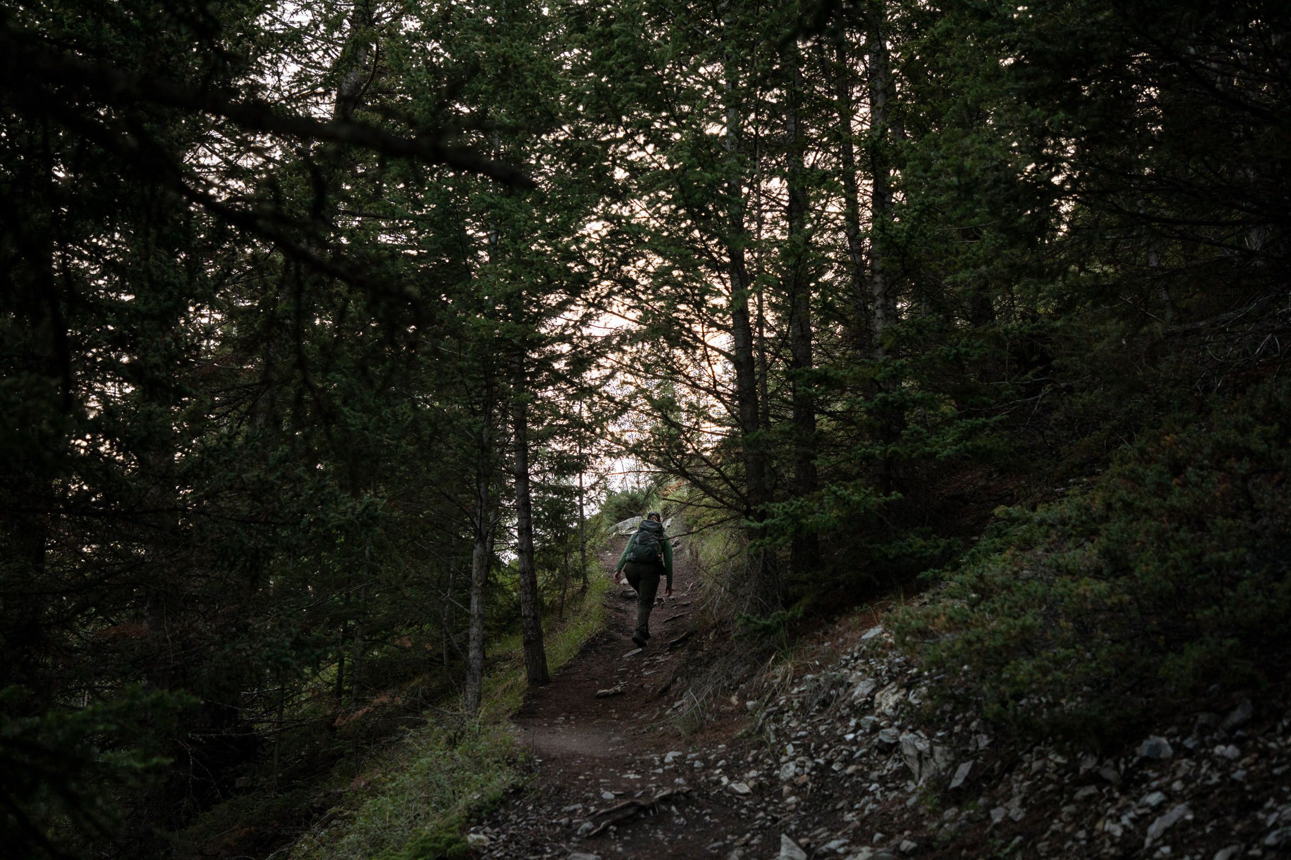 A hiker on a mountain trail surrounded by forest