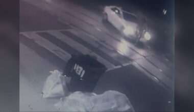 Teen arrested in Leslieville hit-and-run: Toronto police