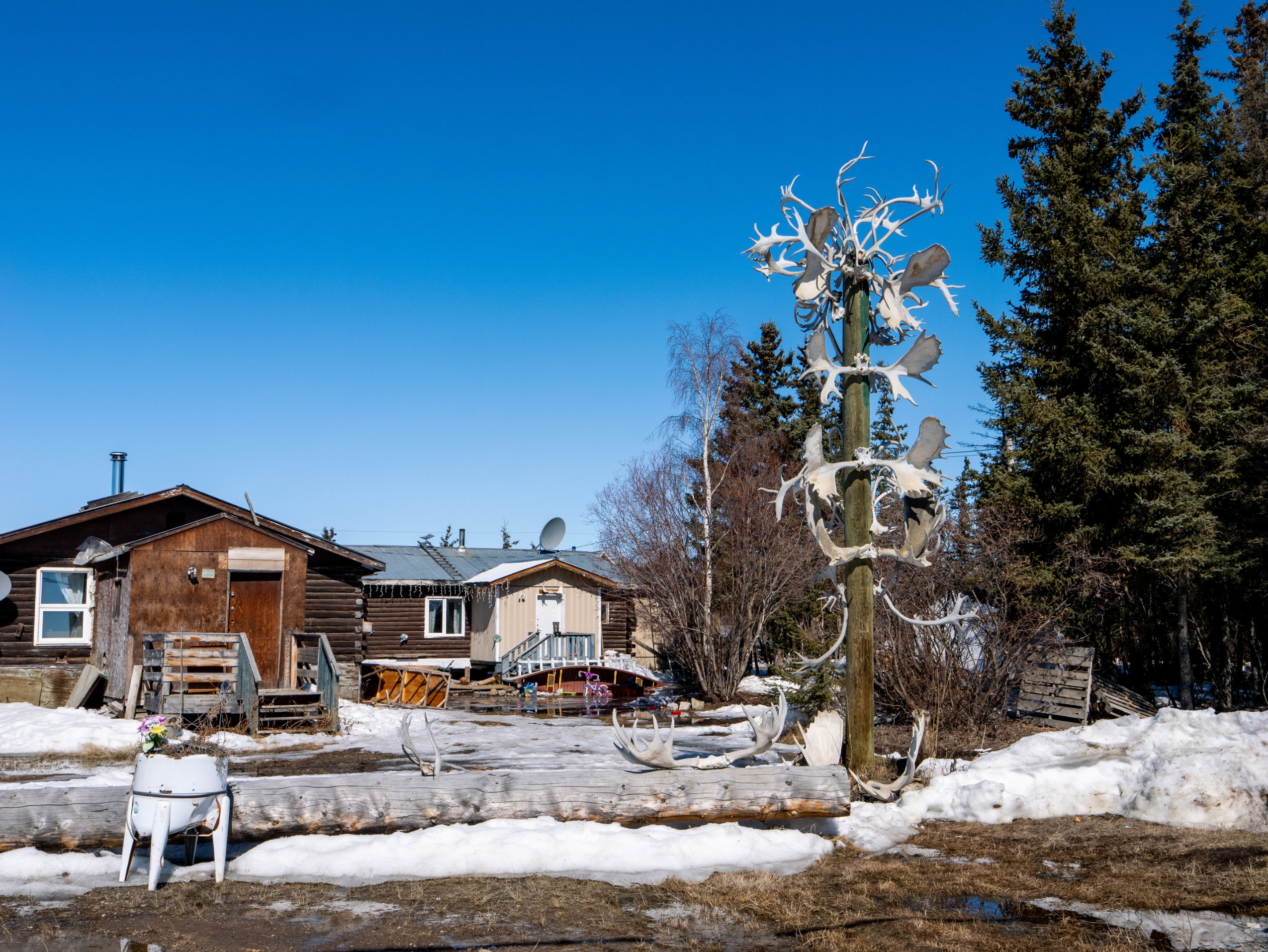 A pole adorned with caribou antlers is seen in front of houses.