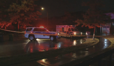 Brampton shooting near Humberwest and Castlemore