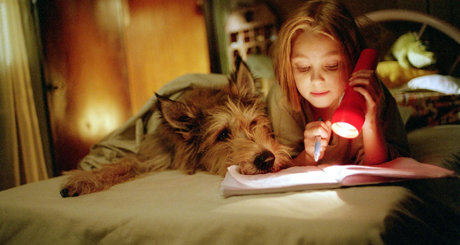 On 25th birthday, readers still love 'Because of Winn-Dixie'