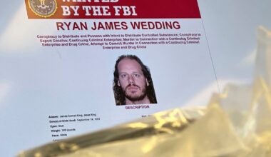 Truck drivers with ties to Ryan Wedding's alleged drug smuggling network to plead guilty: docs