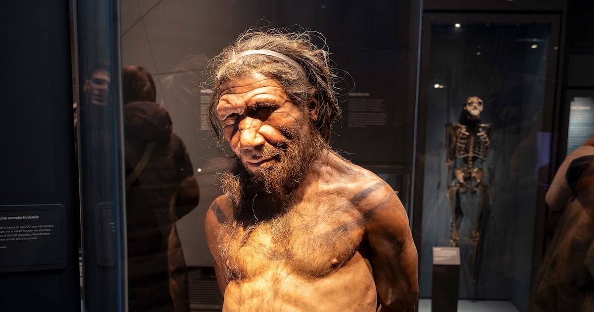 Humans may have had a competitive edge over our ancient relatives, study suggests - CTV News