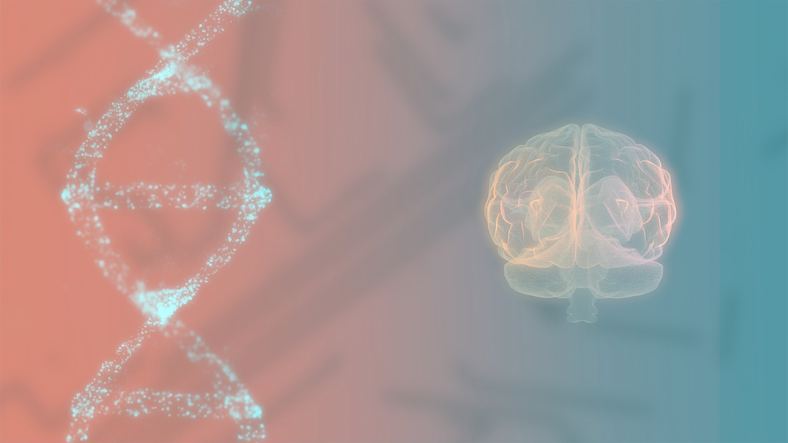 3d image of the human brain and DNA spiral on colorful screen.