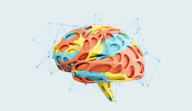 Brains grown in dishes push new boundaries