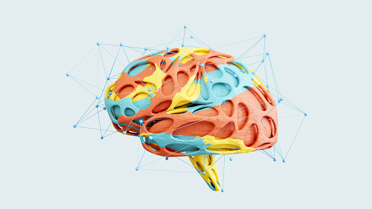 Brains grown in dishes push new boundaries