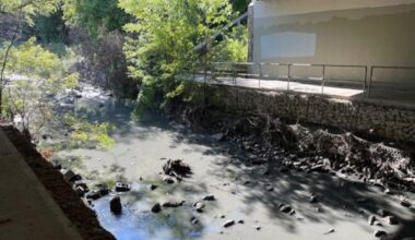 Sewage spills in east Toronto's Taylor-Massey Creek