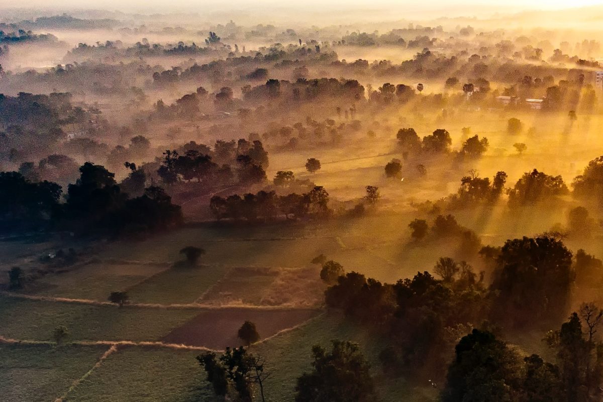 "It's astonishing": animal in India sings when sun is precisely 3.8° below horizon every dawn, say scientists
