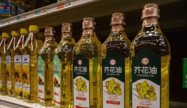 Shift to canola-based biofuel could help make up for lost Chinese market