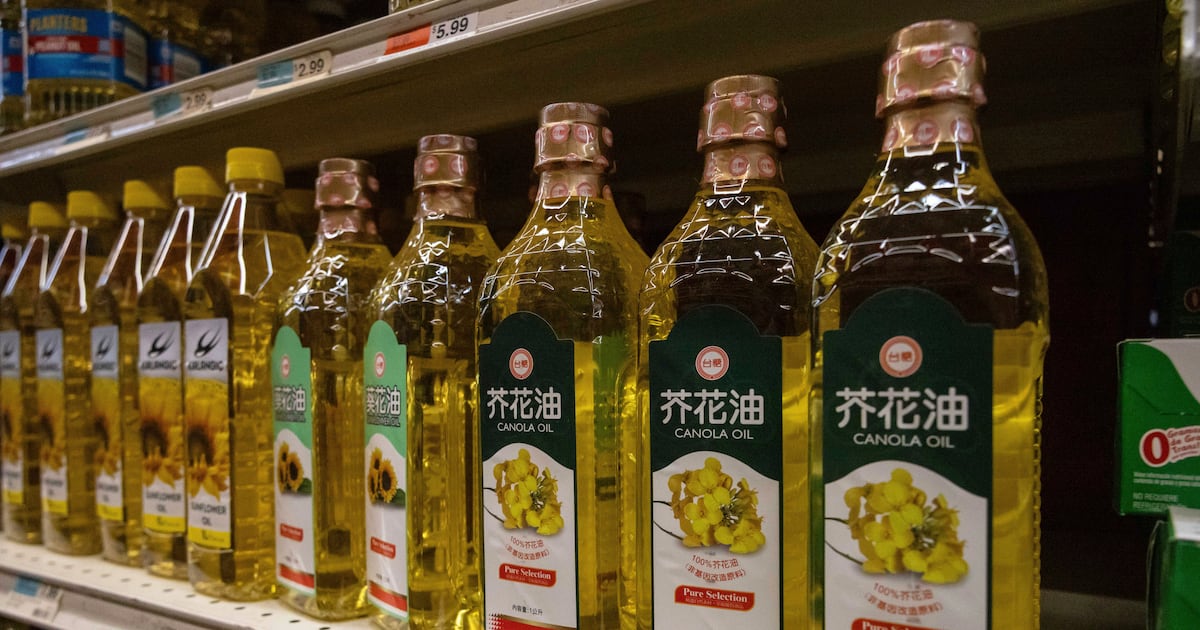 Shift to canola-based biofuel could help make up for lost Chinese market