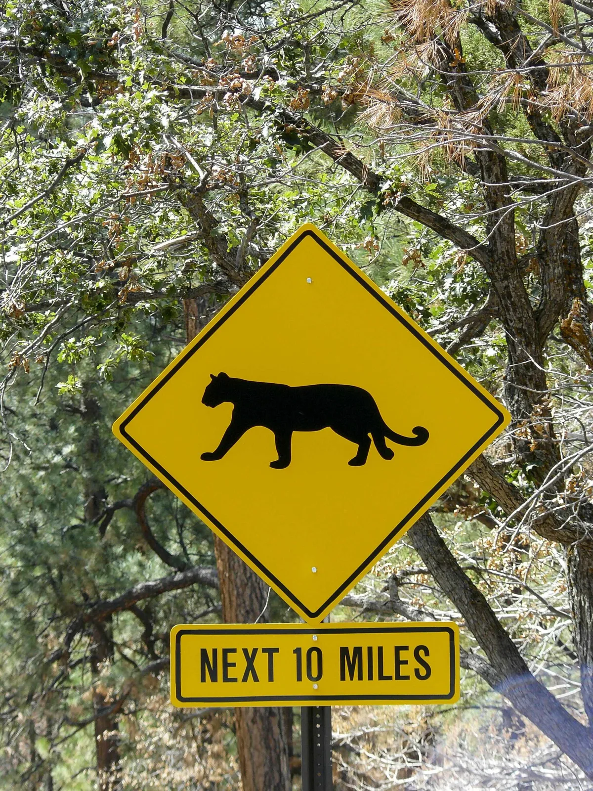 Puma road sign